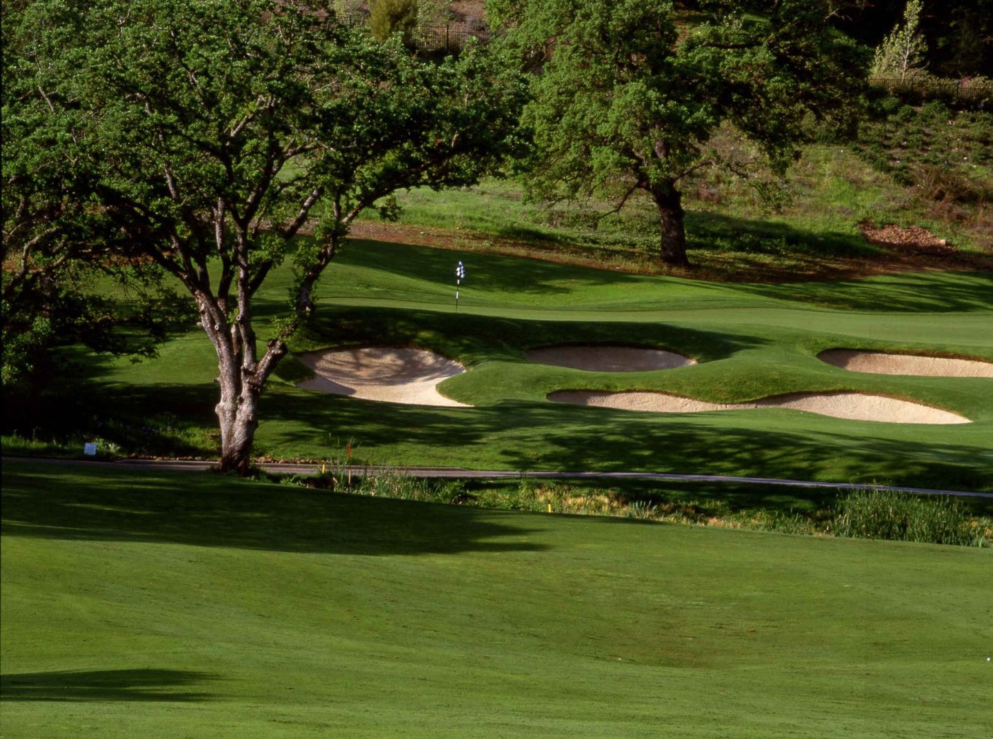 Whitney Oaks Golf Club